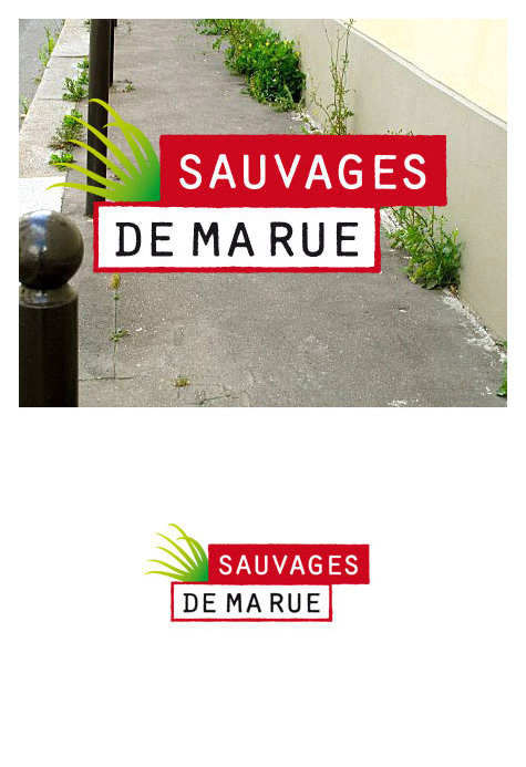 Sauvages de ma rue