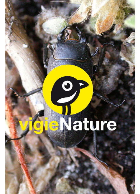 Vigie Nature